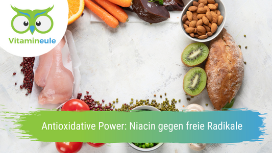 Antioxidative Power: Niacin gegen freie Radikale