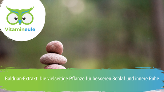Baldrian-Extrakt: Die vielseitige Pflanze für besseren Schlaf und innere Ruhe