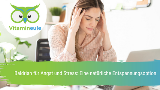 Baldrian für Angst und Stress: Eine natürliche Entspannungsoption