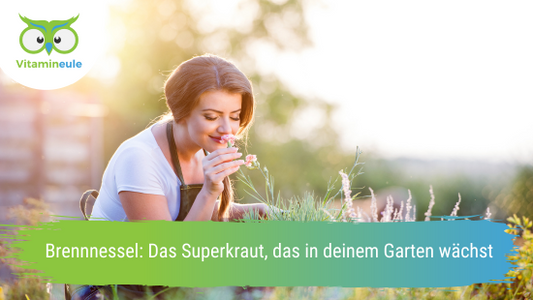 Brennnessel: Das Superkraut, das in deinem Garten wächst