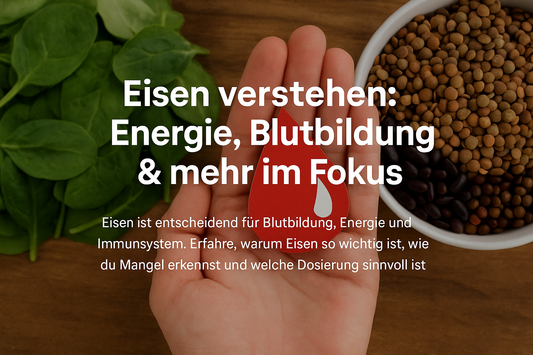 Eisen verstehen: Energie, Blutbildung & mehr im Fokus
