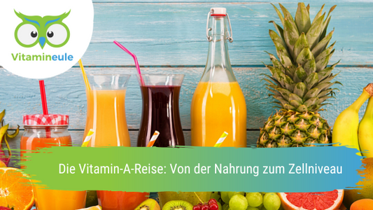 Die Vitamin-A-Reise: Von der Nahrung zum Zellniveau