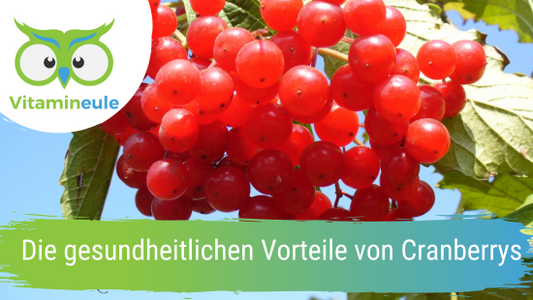 Die gesundheitlichen Vorteile von Cranberrys