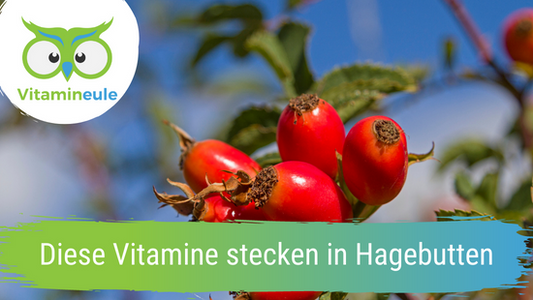 Diese Vitamine stecken in Hagebutten