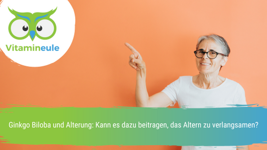 Ginkgo Biloba und Alterung: Kann es dazu beitragen, das Altern zu verlangsamen?
