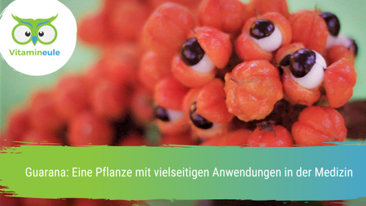 Guarana: Eine Pflanze mit vielseitigen Anwendungen in der Medizin