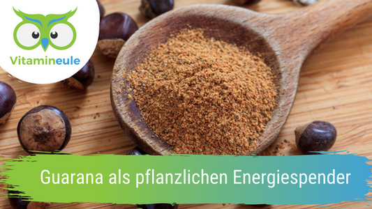 Guarana als pflanzlichen Energiespender