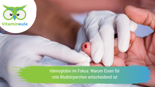 Hämoglobin im Fokus: Warum Eisen für rote Blutkörperchen entscheidend ist