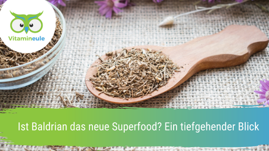 Ist Baldrian das neue Superfood? Ein tiefgehender Blick