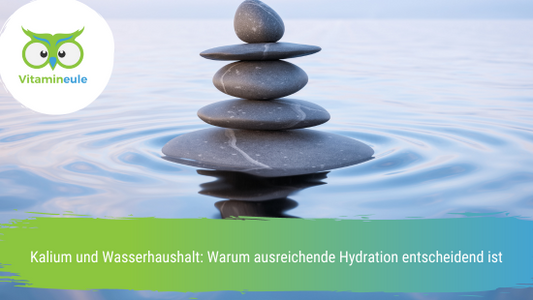 Kalium und Wasserhaushalt: Warum ausreichende Hydration entscheidend ist