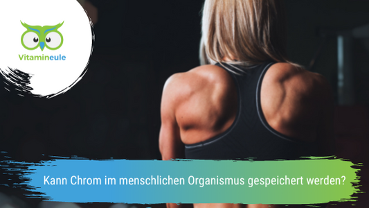 Kann Chrom im menschlichen Organismus gespeichert werden?