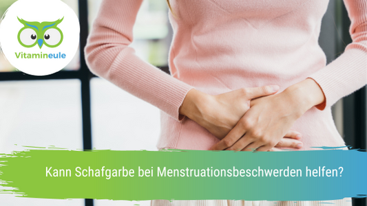 Kann Schafgarbe bei Menstruationsbeschwerden helfen?