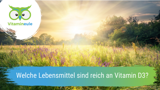 Welche Lebensmittel sind reich an Vitamin D3?