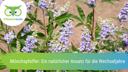 Mönchspfeffer: Ein natürlicher Ansatz für die Wechseljahre