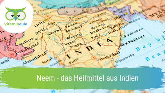 Neem - das Heilmittel aus Indien