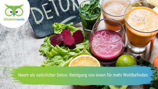 Neem als natürlicher Detox: Reinigung von innen für mehr Wohlbefinden