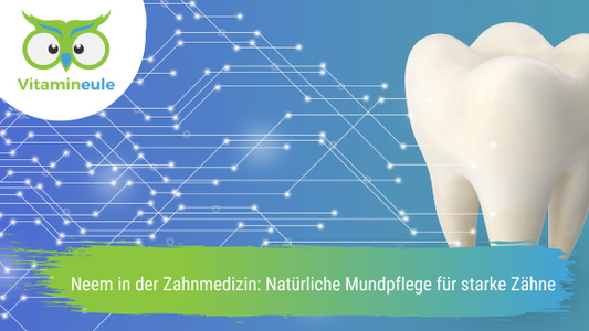 Neem in der Zahnmedizin: Natürliche Mundpflege für starke Zähne