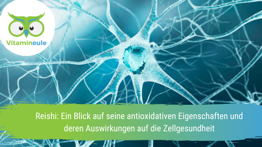 Reishi: Ein Blick auf seine antioxidativen Eigenschaften und deren Auswirkungen auf die Zellgesundheit