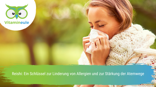 Reishi: Ein Schlüssel zur Linderung von Allergien und zur Stärkung der Atemwege