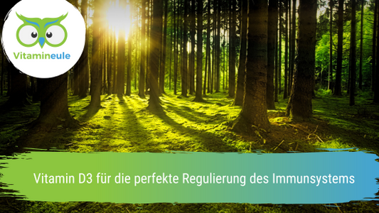 Vitamin D3 für die perfekte Regulierung des Immunsystems
