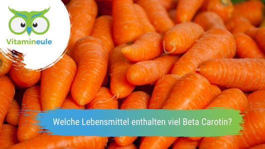 Welche Lebensmittel enthalten viel Beta Carotin?