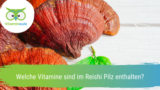 Welche Vitamine sind im Reishi Pilz enthalten?