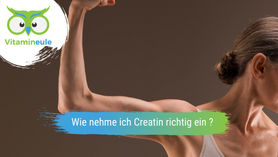 How do I take creatine correctly? – Mach Dich Wach! GmbH