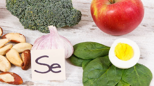 Lebensmittel mit hohem Selenanteil