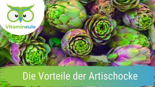 Die Vorteile der Artischocke