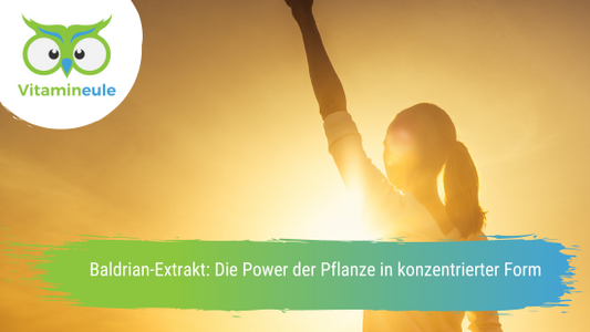 Baldrian-Extrakt: Die Power der Pflanze in konzentrierter Form