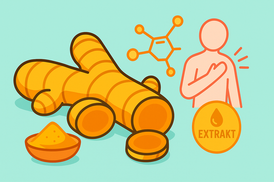 Curcuma: Goldene Wurzel mit vielseitigem Nutzen für Gesundheit und Alltag