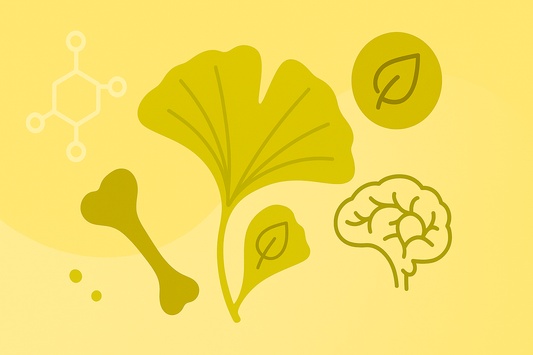 Ginkgo: Die Kraft des alten Baumes – Wirkung, Anwendung & Tipps