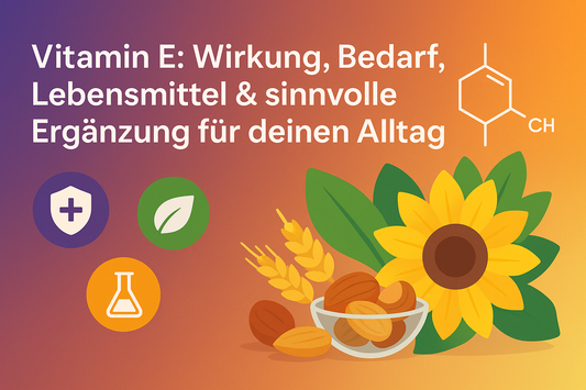 Vitamin E: Wirkung, Bedarf, Lebensmittel & sinnvolle Ergänzung für deinen Alltag