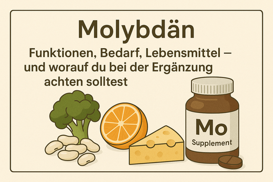 Molybdän: Funktionen, Bedarf, Lebensmittel – und worauf du bei der Ergänzung achten solltest