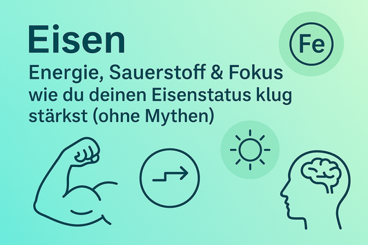 Eisen: Energie, Sauerstoff & Fokus – wie du deinen Eisenstatus klug stärkst (ohne Mythen)