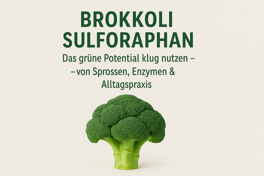 Brokkoli Sulforaphan: Das grüne Potential klug nutzen – von Sprossen, Enzymen & Alltagspraxis