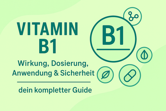 Vitamin B1: Wirkung, Dosierung, Anwendung & Sicherheit – dein kompletter Guide