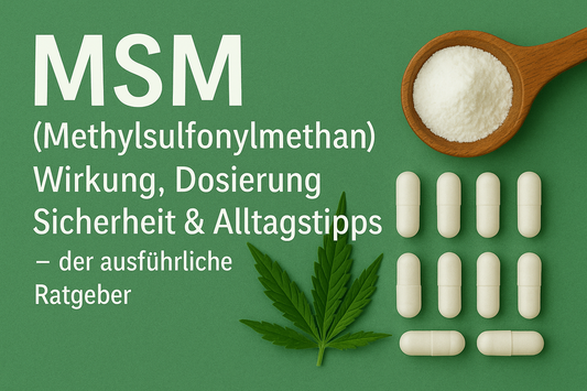 MSM (Methylsulfonylmethan): Wirkung, Dosierung, Sicherheit & Alltagstipps – der ausführliche Ratgeber