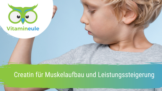 Creatin für Muskelaufbau und Leistungssteigerung