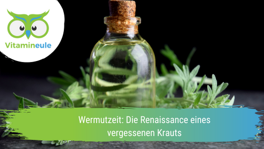 Wermutzeit: Die Renaissance eines vergessenen Krauts