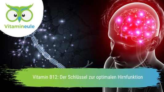 Vitamin B12: Der Schlüssel zur optimalen Hirnfunktion