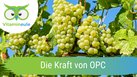 Die Kraft von OPC