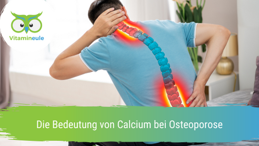 Die Bedeutung von Calcium bei Osteoporose