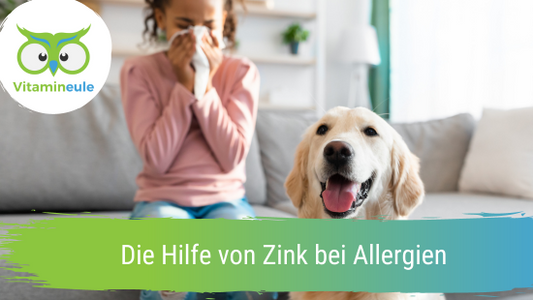 Die Hilfe von Zink bei Allergien