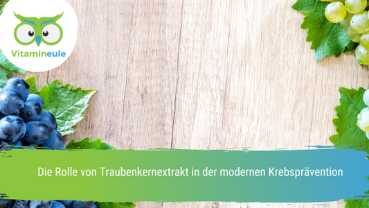 Die Rolle von Traubenkernextrakt in der modernen Krebsprävention