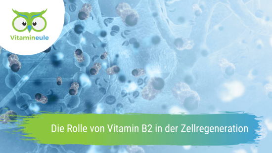 Die Rolle von Vitamin B2 in der Zellregeneration
