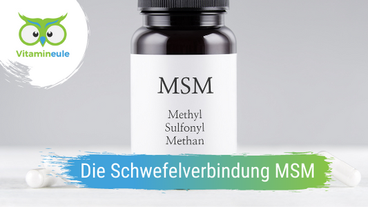 Die wichtige Schwefelverbindung MSM