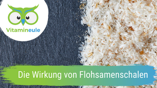 Die Wirkung von Flohsamenschalen