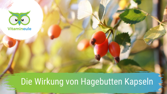 Die Wirkung von Hagebuttenkapseln