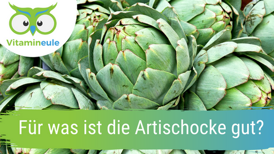 Für was ist die Artischocke gut?